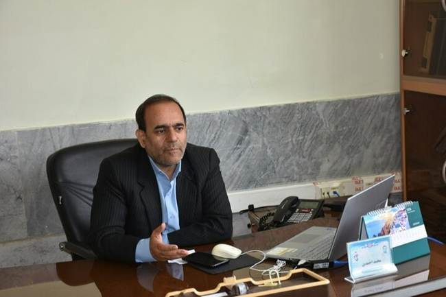 3502431_459 